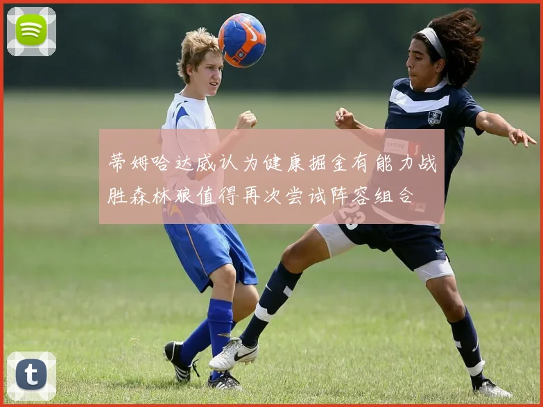 蒂姆哈达威认为健康掘金有能力战胜森林狼值得再次尝试阵容组合